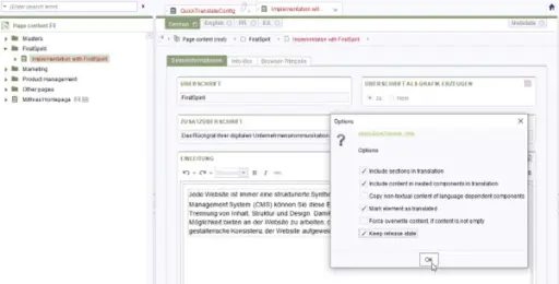 A software interface displaying options for translating website content, including settings for sections and components to include.