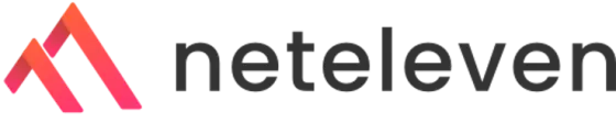 Logo of Neteleven featuring a stylized mountain graphic in gradient colors, accompanied by the brand name in bold, modern font.
